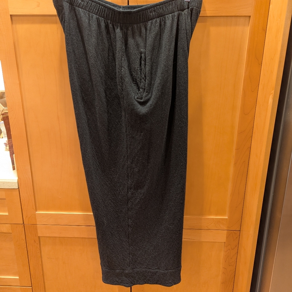 Iridium Brand Pants, 2X